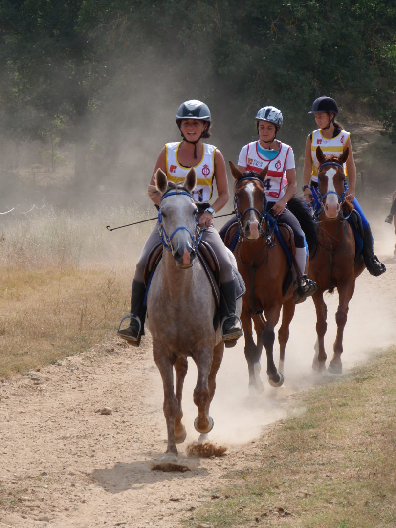 endurance 4