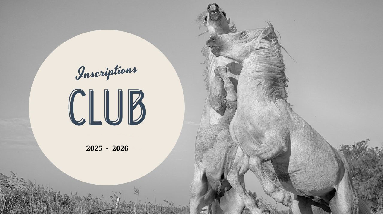visuel Inscriptions 2025 - 2026