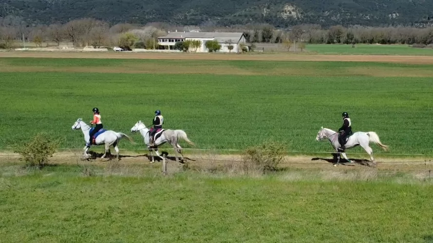 course endurance