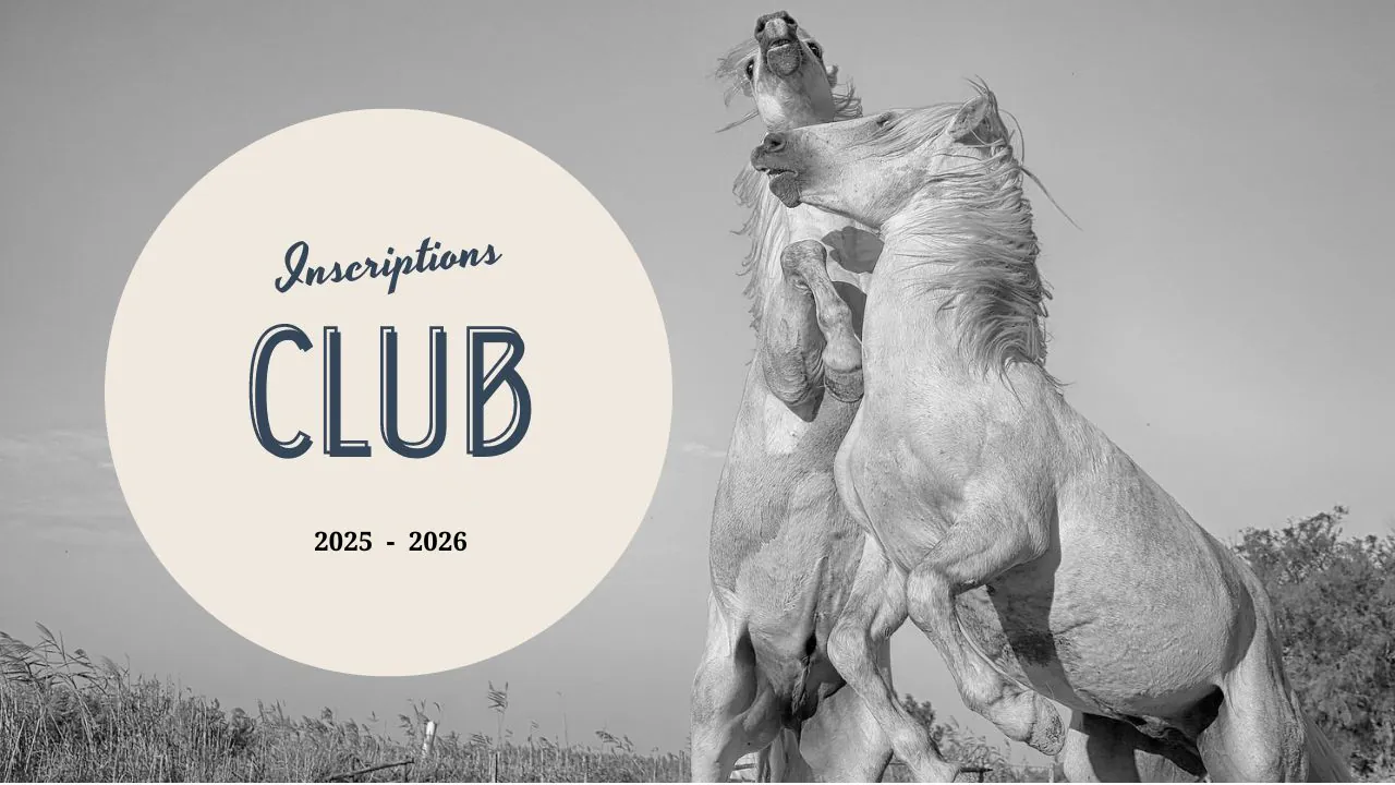 visuel Inscriptions 2025 - 2026