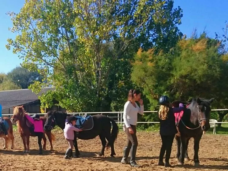 activites-poney