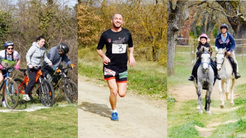 triathlon2018