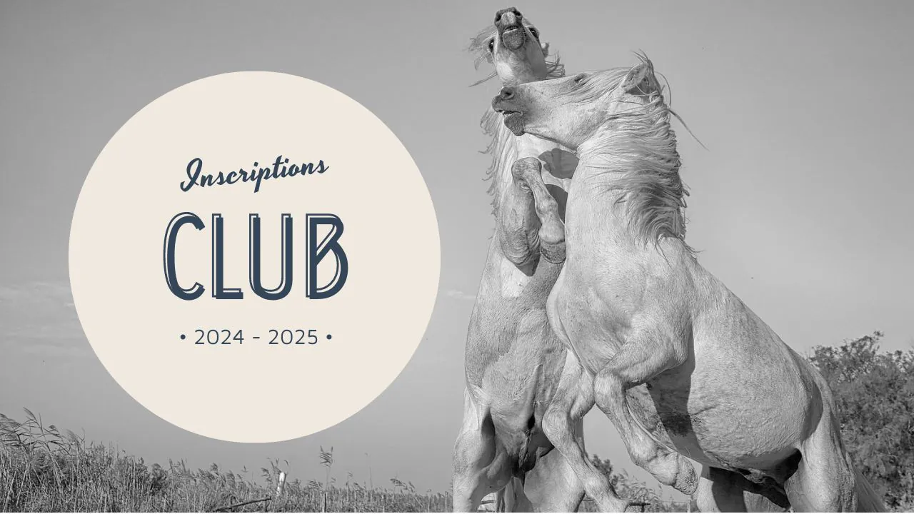 Inscriptions